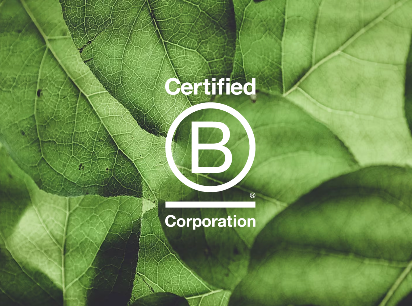 We are Certified B Corporation