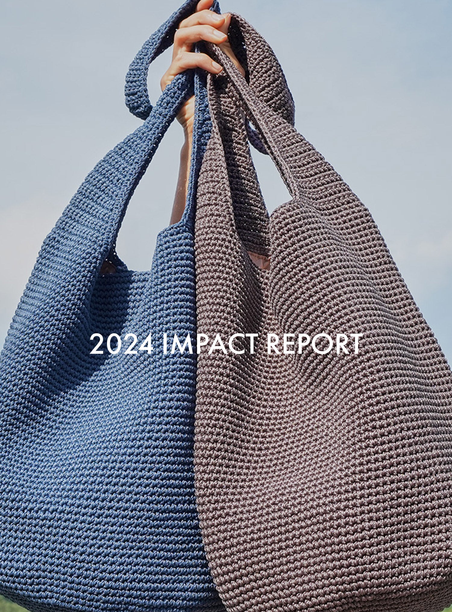 The Sak Impact Report