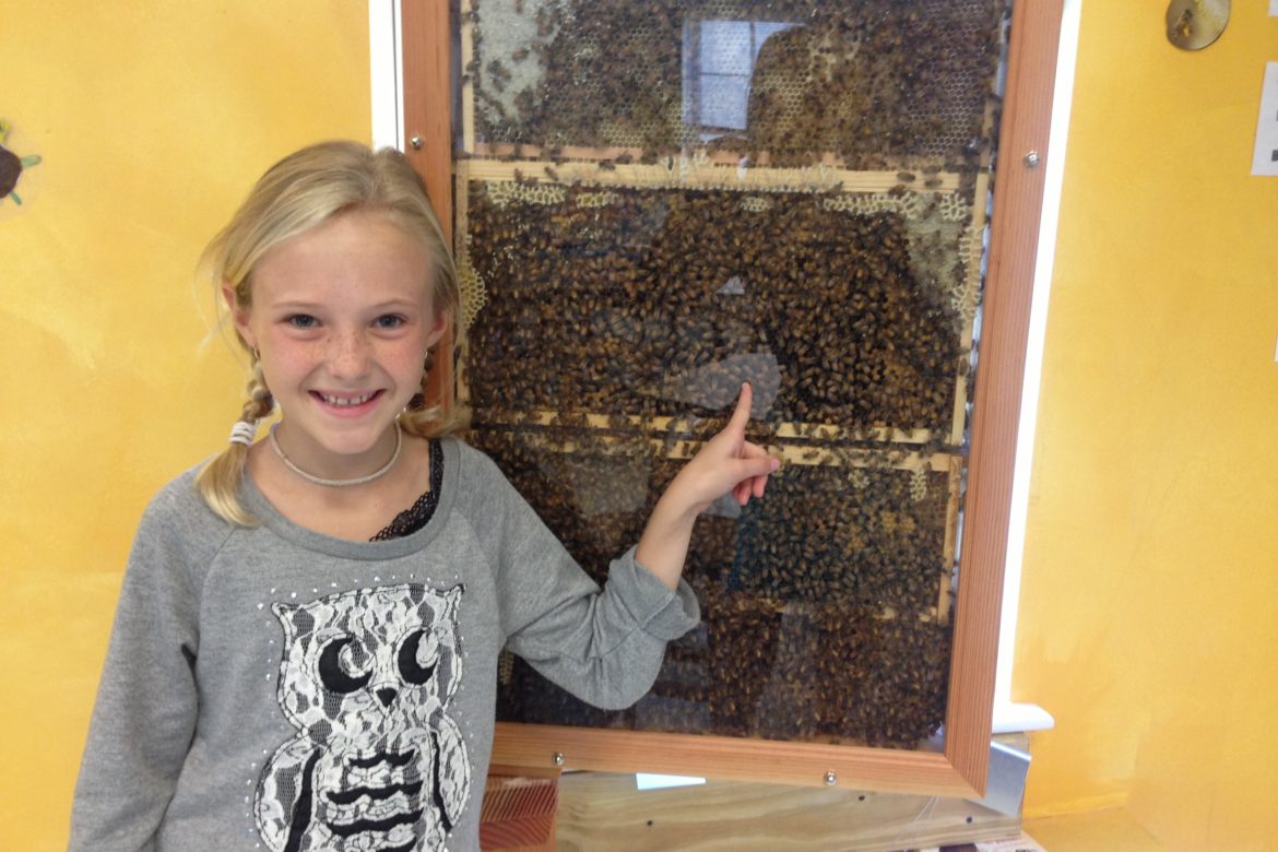 Giving Back: Spotlight on The Bee Cause Project